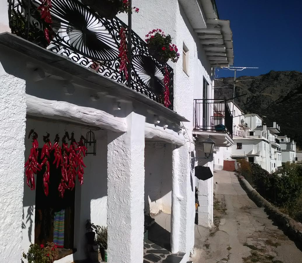 Refugio Alpujarra Alta Bed & Breakfast Trevelez Exterior photo